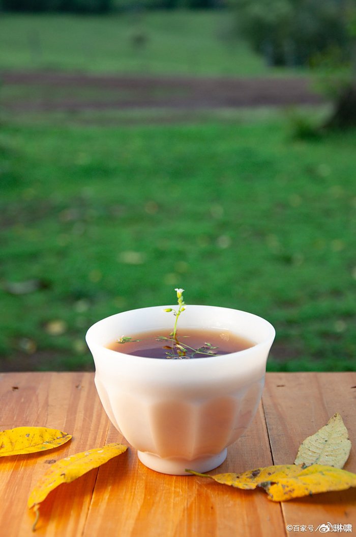 中国茶品牌出海:东方茶走向世界