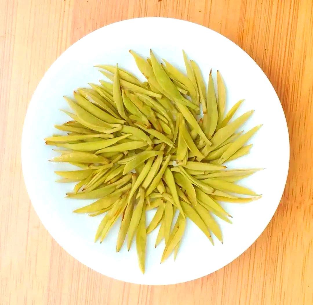 茶与减脂:科学看待茶的代谢作用