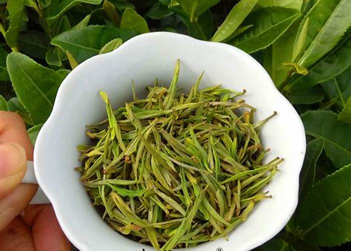 白茶：一年茶三年药七年宝