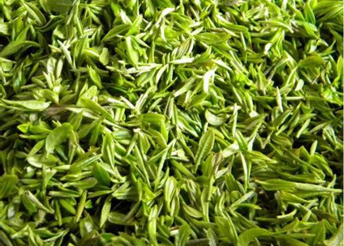 信阳毛尖：中原绿茶的鲜爽代表