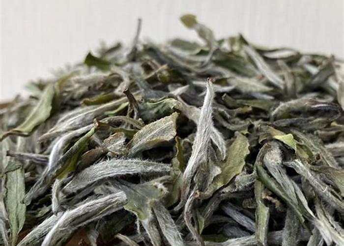 白茶：工艺最简的茶类