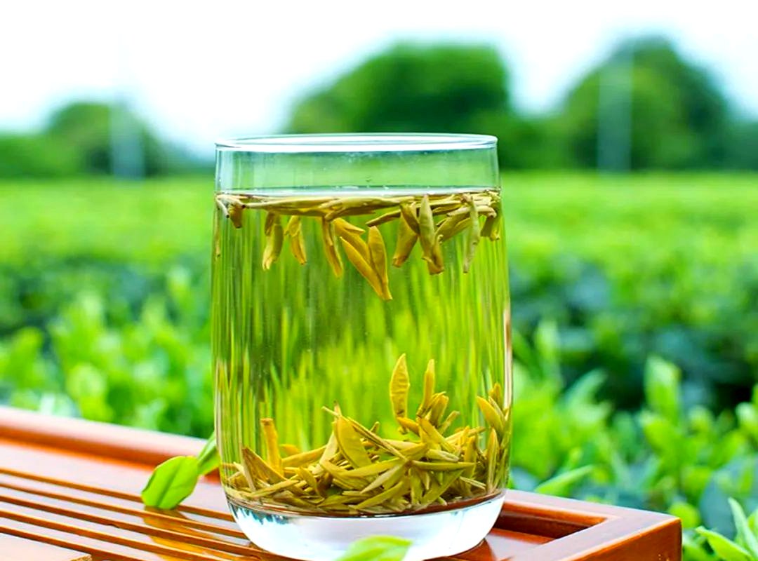 黄茶的保健与适饮人群