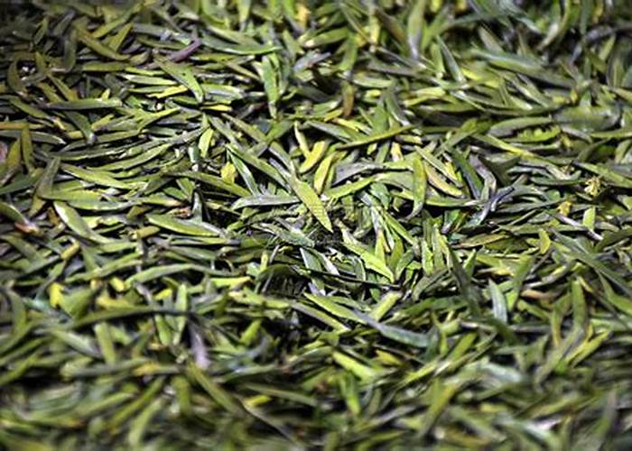 绿茶的冲泡:玻璃杯里的春色